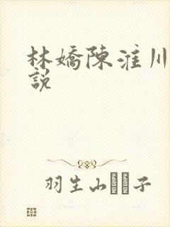 林娇陈淮川的小说
