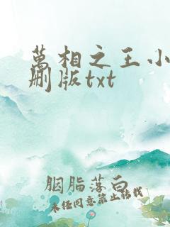 万相之王小说未删版txt