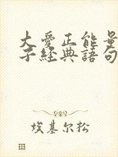 大爱正能量的句子经典语句