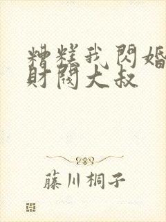 糟糕我闪婚了个财阀大叔 糟糕我闪婚了个财阀大叔