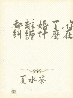 都离婚了,你还纠缠什么在线阅读完整版