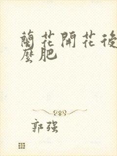 兰花开花后施什么肥