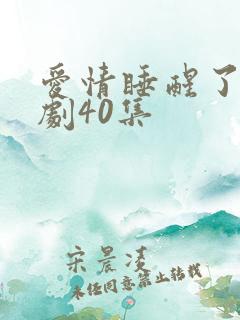 爱情睡醒了电视剧40集