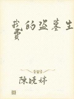 我的盗墓生涯免费