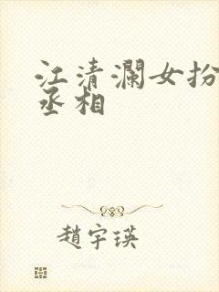 江清澜女扮男装丞相