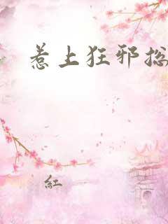 惹上狂邪总裁 惹上狂邪总裁