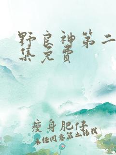 野良神第二季全集免费