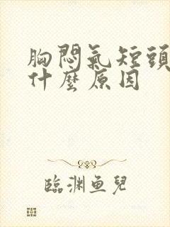 胸闷气短头晕是什么原因