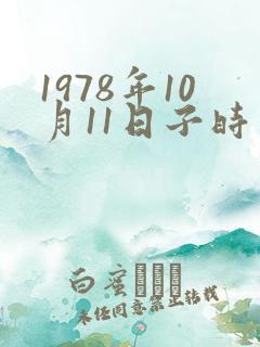 1978年10月11日子时生辰八字算命