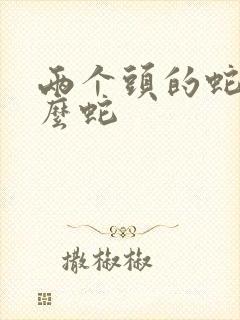 两个头的蛇叫什么蛇