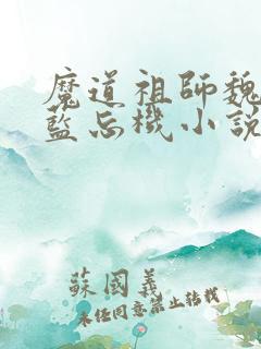 魔道祖师魏无羡蓝忘机小说全文阅读