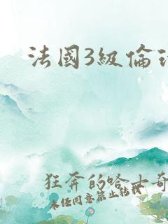 法国3级伦理片