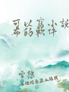 可以写小说并发布的软件