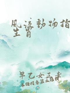 风流动物指什么生肖