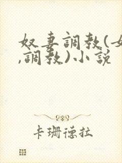 奴妻调教(女m,调教)小说