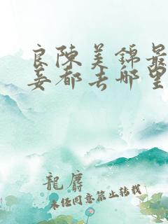 良陈美锦最后小妾都去哪里了