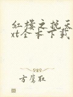 红楼之挽天倾txt全本下载