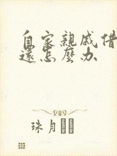 自家亲戚借钱不还怎么办