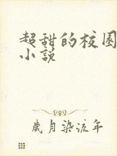 超甜的校园言情小说
