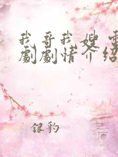 我哥我嫂 电视剧剧情介绍大结局