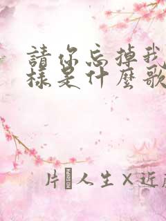 请你忘掉我的模样是什么歌名