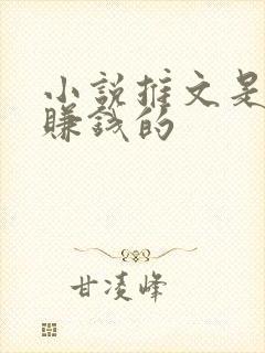 小说推文是怎么赚钱的 小说推文是怎么赚钱的