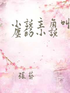 小说主角叫李沐尘的小说