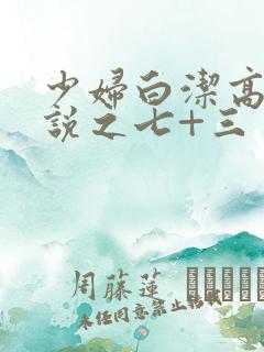 少妇白洁高义小说之七+三