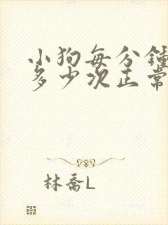 小狗每分钟呼吸多少次正常