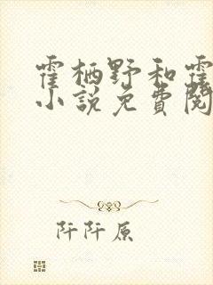 霍栖野和霍深的小说免费阅读
