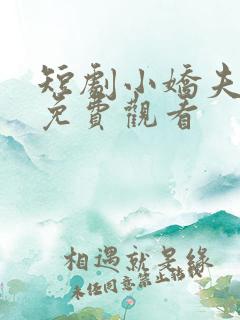 短剧小娇夫全集免费观看