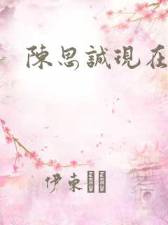 陈思诚现在老婆 陈思诚现在老婆