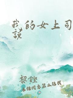 我的女上司的小说