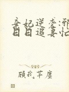 弃妃逆袭:邪王日日追妻忙小说阅读