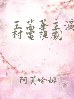 王茜华主演的农村电视剧