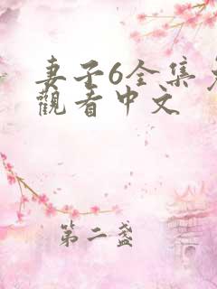 妻子6全集免费观看中文