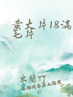 黄大片18满岁毛片
