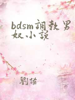 bdsm调教男奴小说