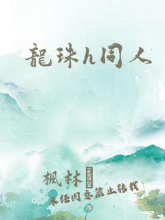 龙珠h同人