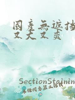 国产无遮挡又黄又大又爽