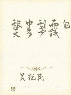 租中型面包车一天多少钱