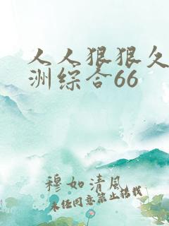 人人狠狠久久亚洲综合66