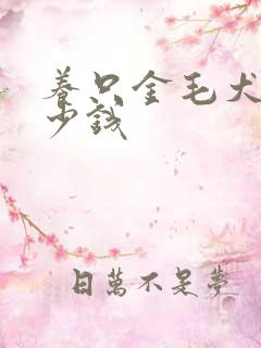 养只金毛犬要多少钱