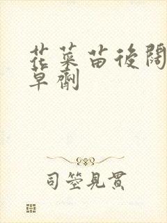 花菜苗后阔叶除草剂