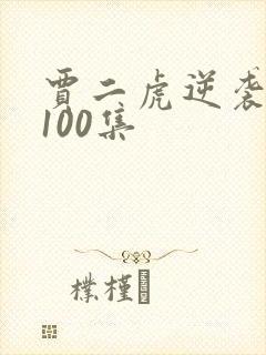 贾二虎逆袭人生100集