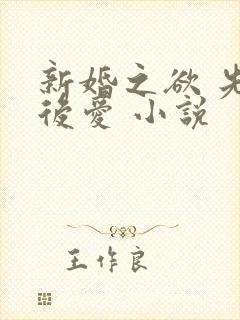 新婚之欲 先婚后爱 小说