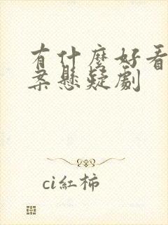 有什么好看的破案悬疑剧