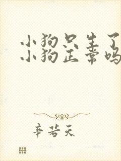 小狗只生了一只小狗正常吗