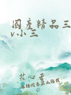国产精品三级av小三
