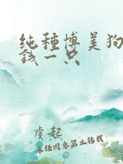 纯种博美狗多少钱一只